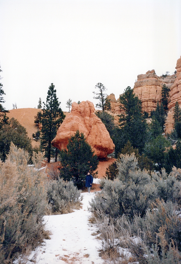 1997 - USA 57 (Red Canyon, UT - Dixie Forest).jpg